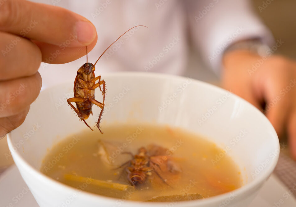 Sonhar com barata na comida