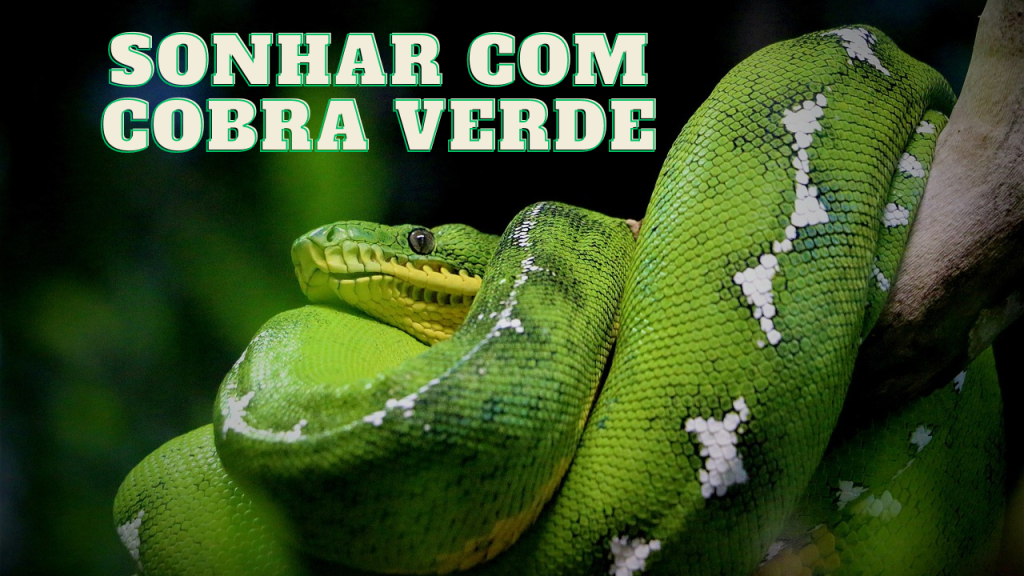 sonhar com cobra verde