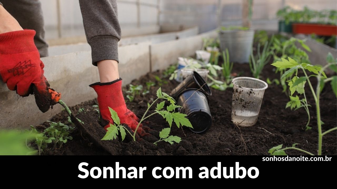 Sonhar com adubo