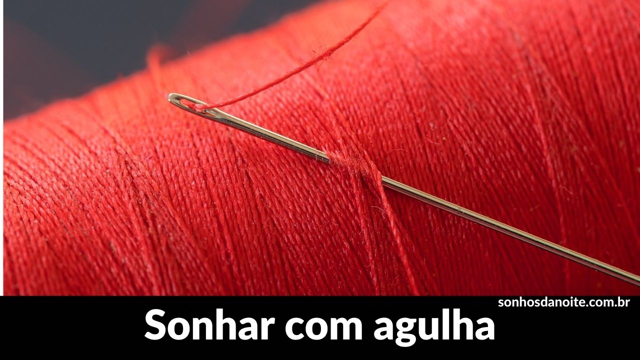 Sonhar com agulha