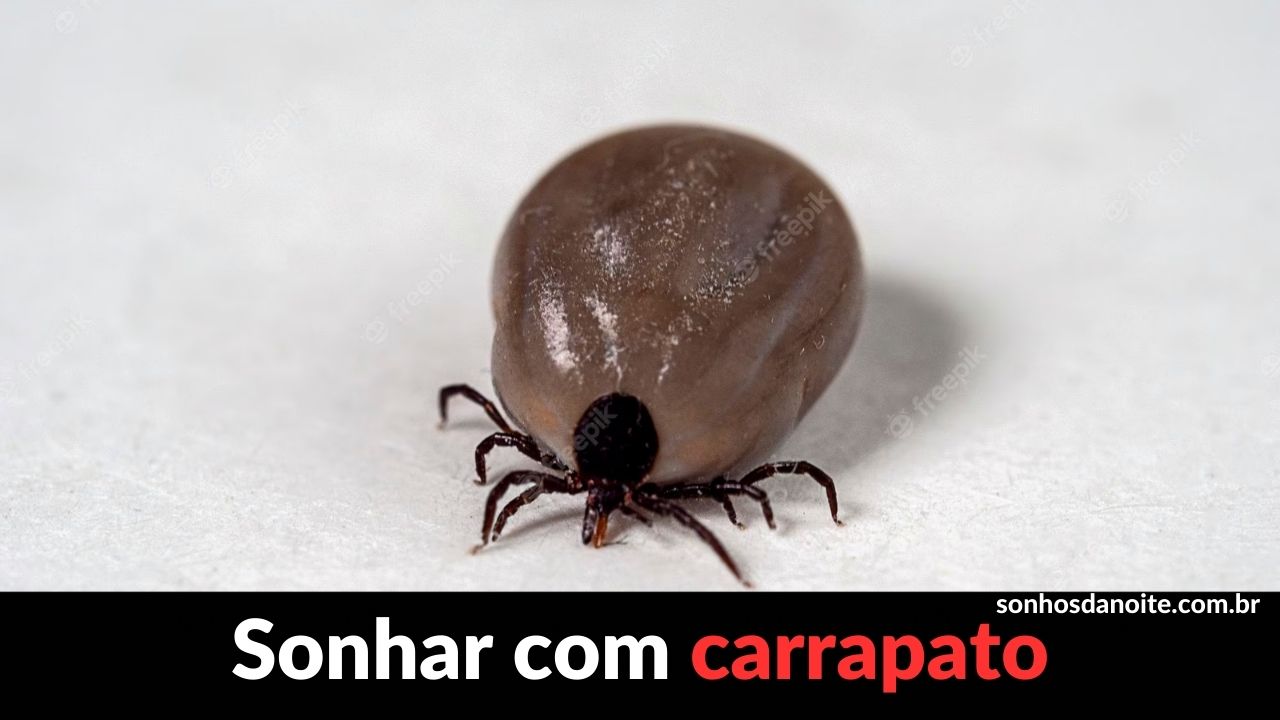 Sonhar com bolo carrapato