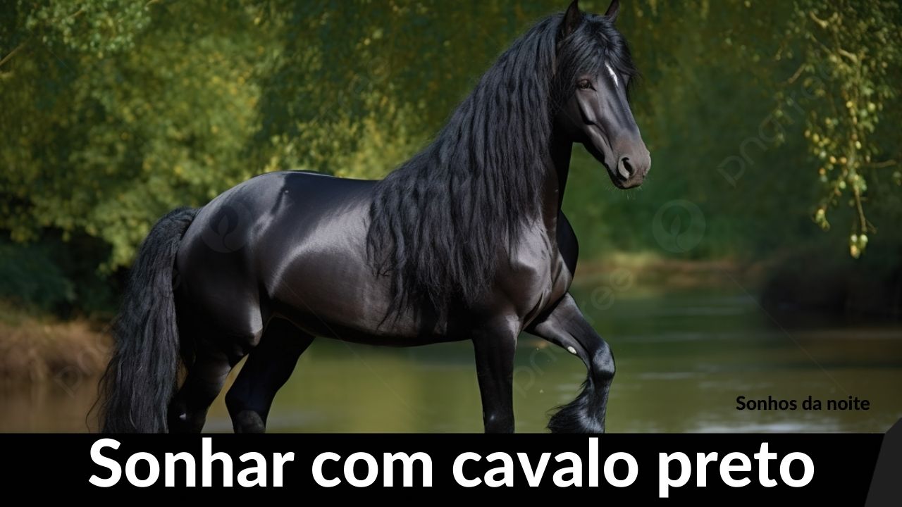 sonhar com cavalo preto