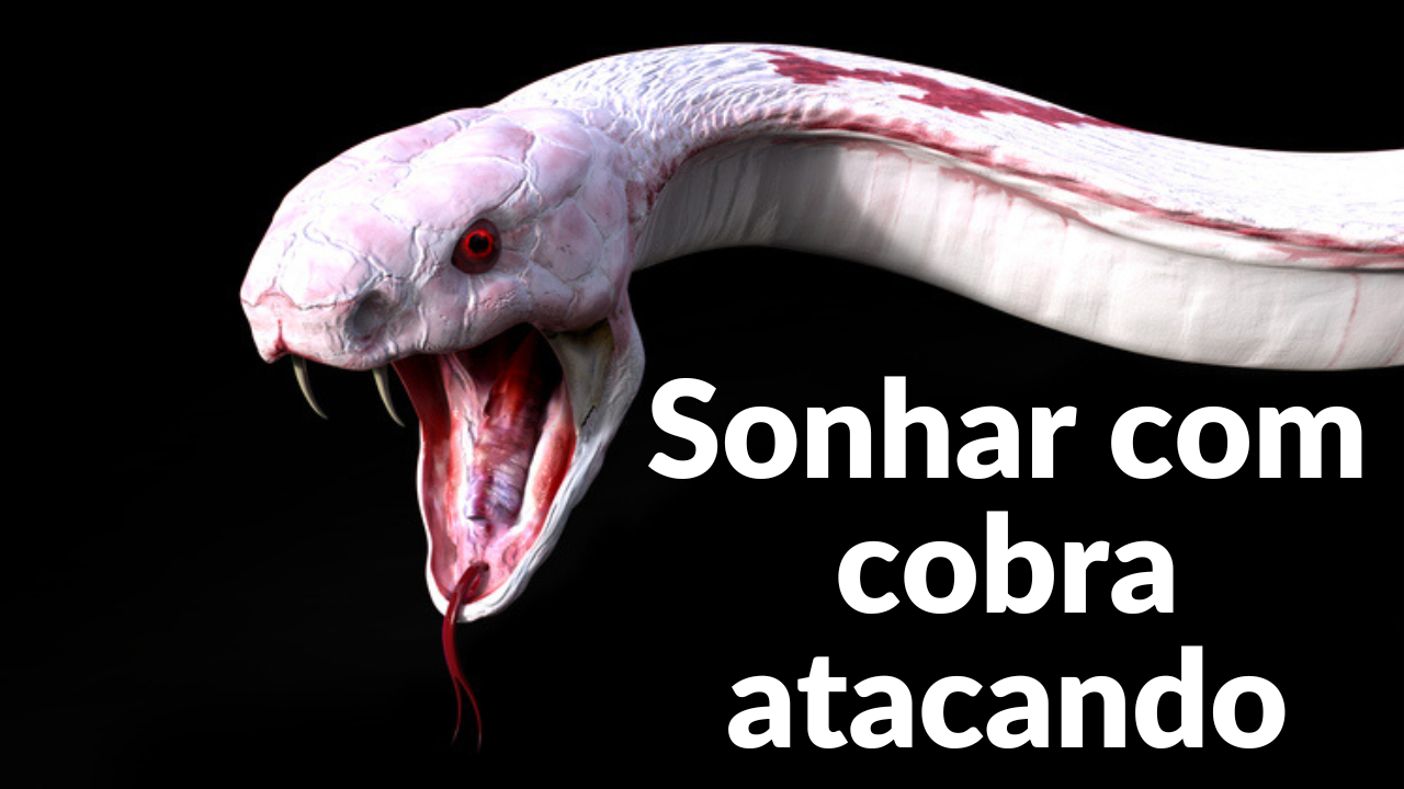 sonhar com cobra atacando