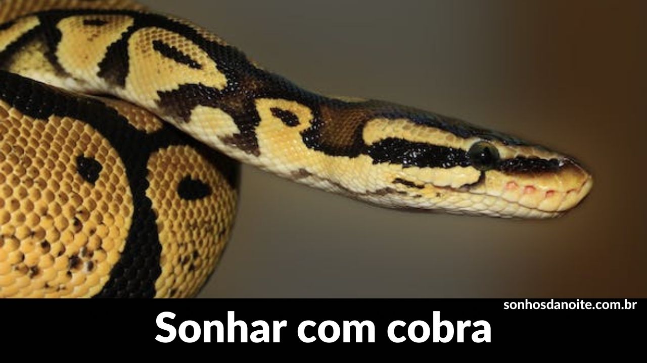 Sonhar com cobra