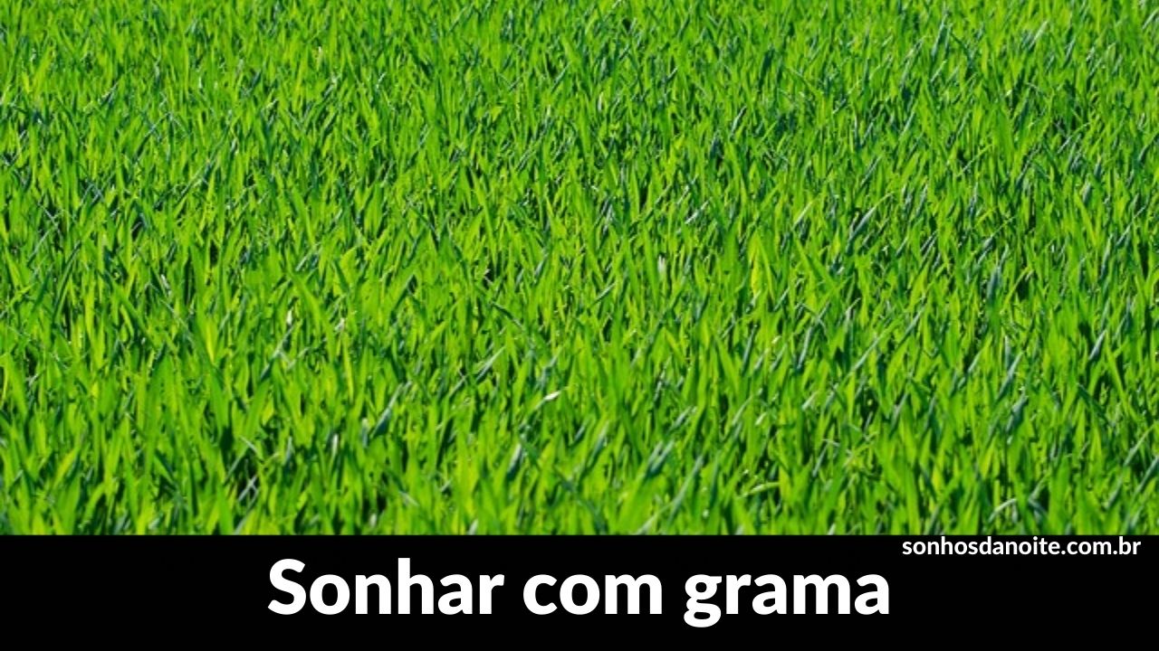 Sonhar com grama