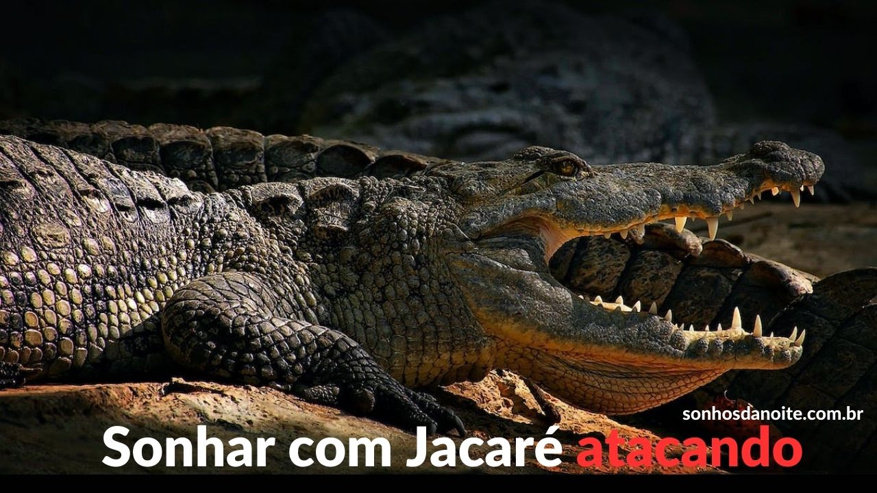 Sonhar com jacaré atacando