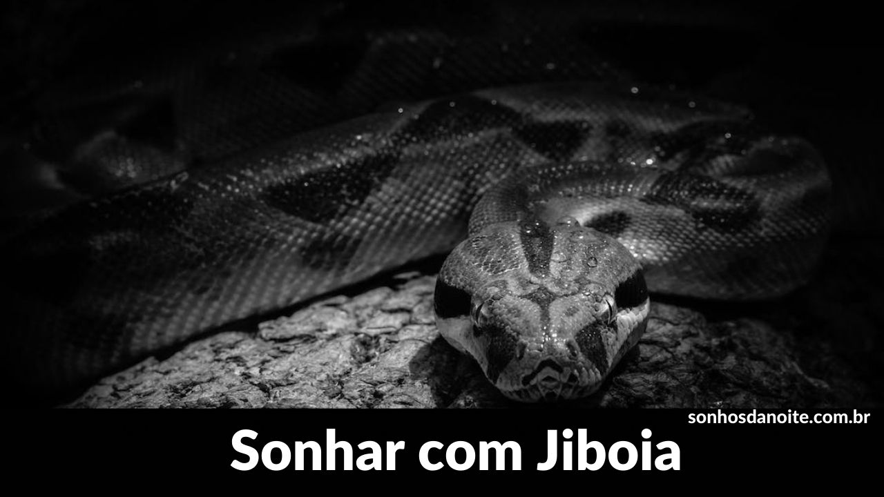 Sonhar com jiboia