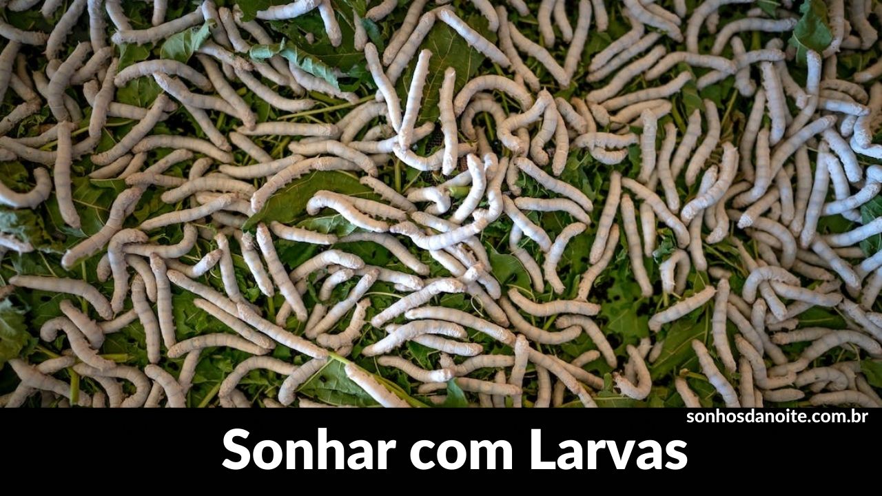 Sonhar com larvas