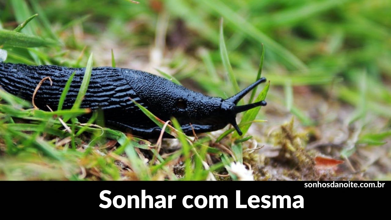 Sonhar com lesma