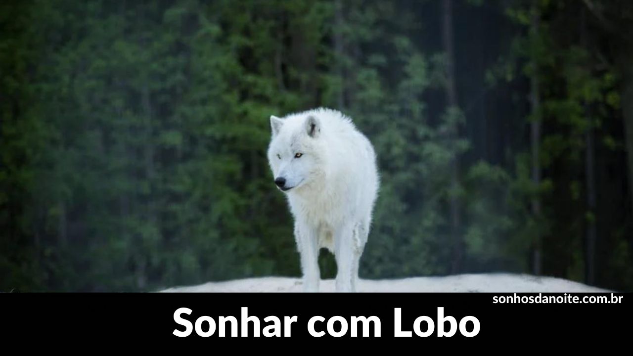 Sonhar com lobo