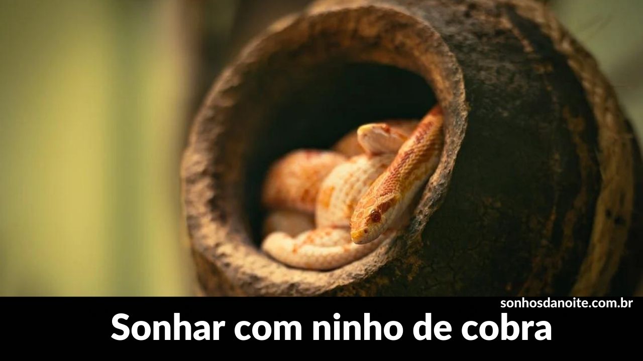 Sonhar com ninho de cobra