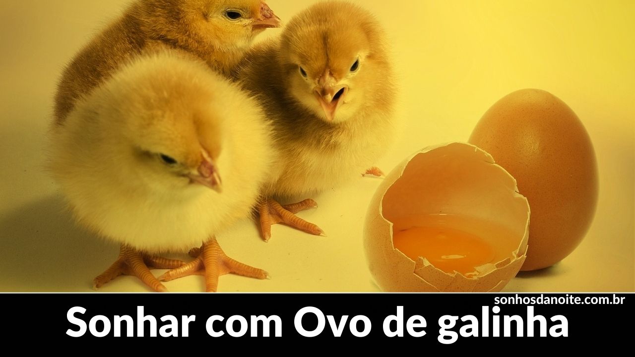 Sonhar com ovo de galinha