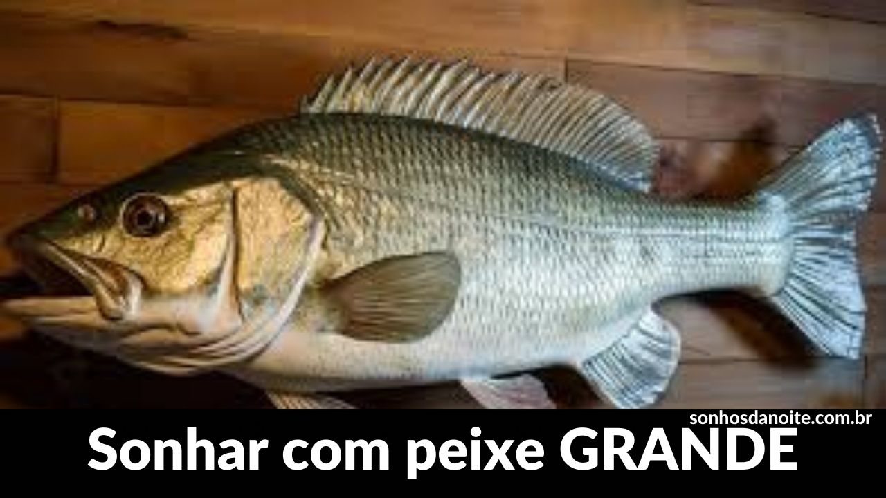 Sonhar com peixe grande