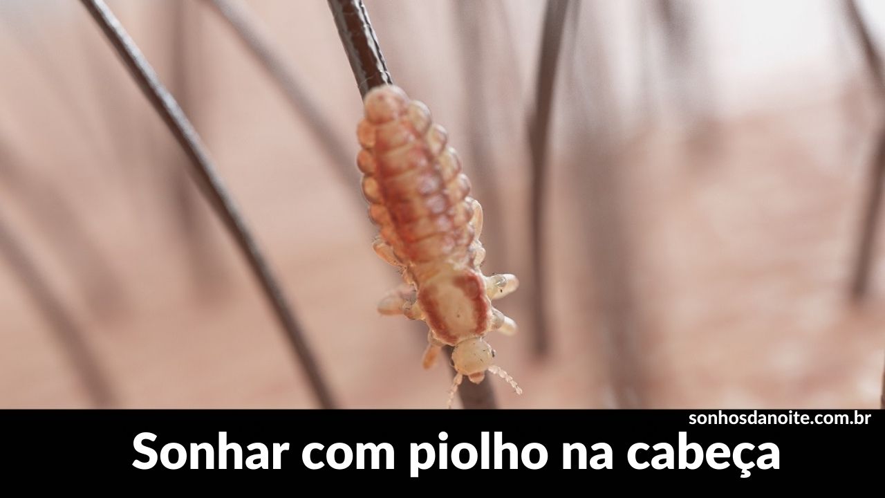 https://sonharbrasil.com.br/wp-content/uploads/2023/07/Sonhar-com-piolho-na-cabeca.jpg