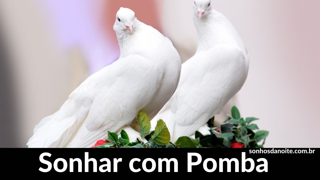 Sonhar com pomba