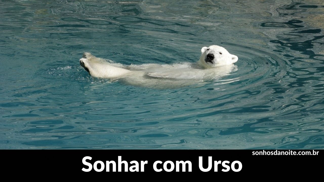 Sonhar com urso