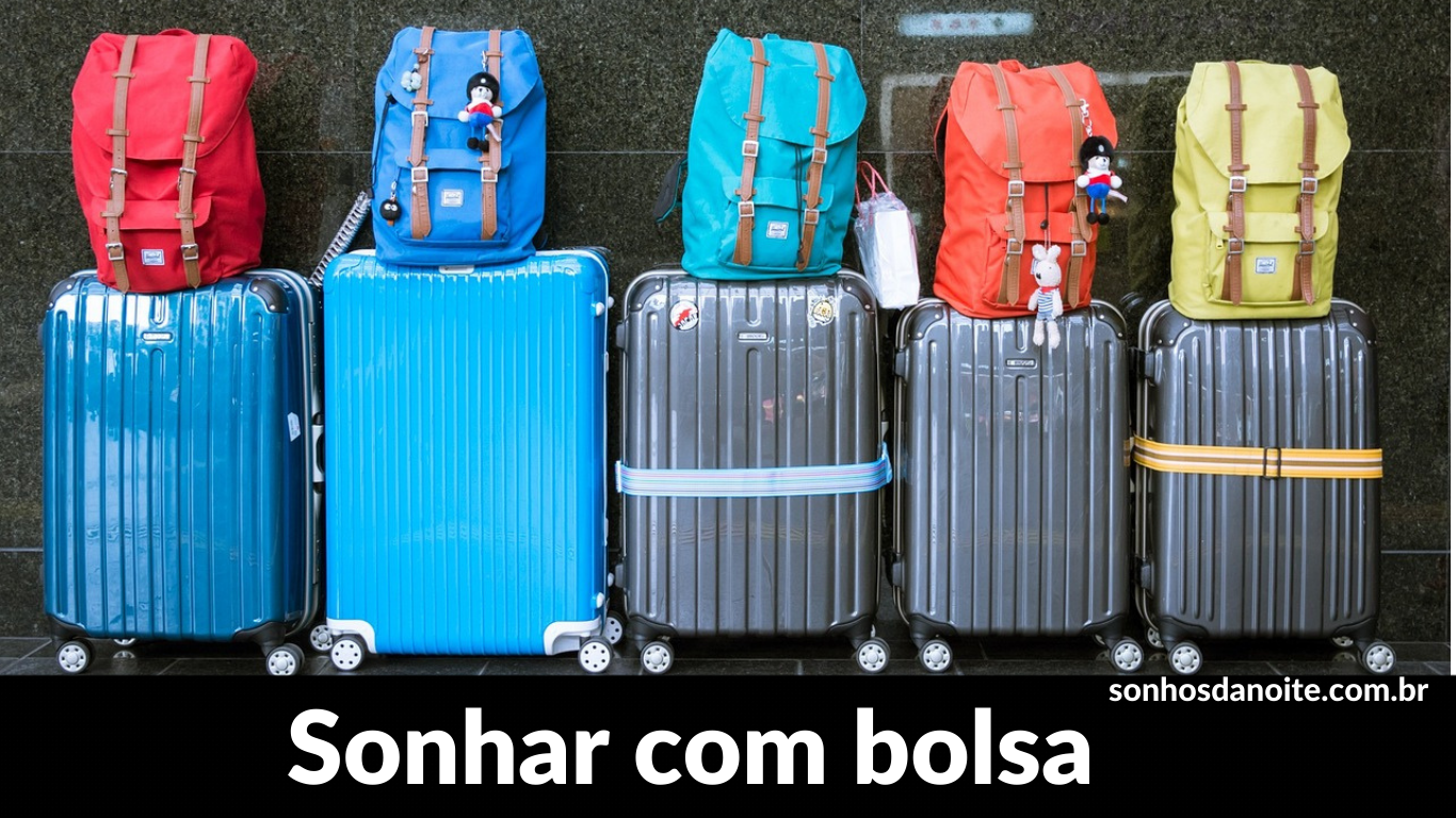 Sonhar com bolsa