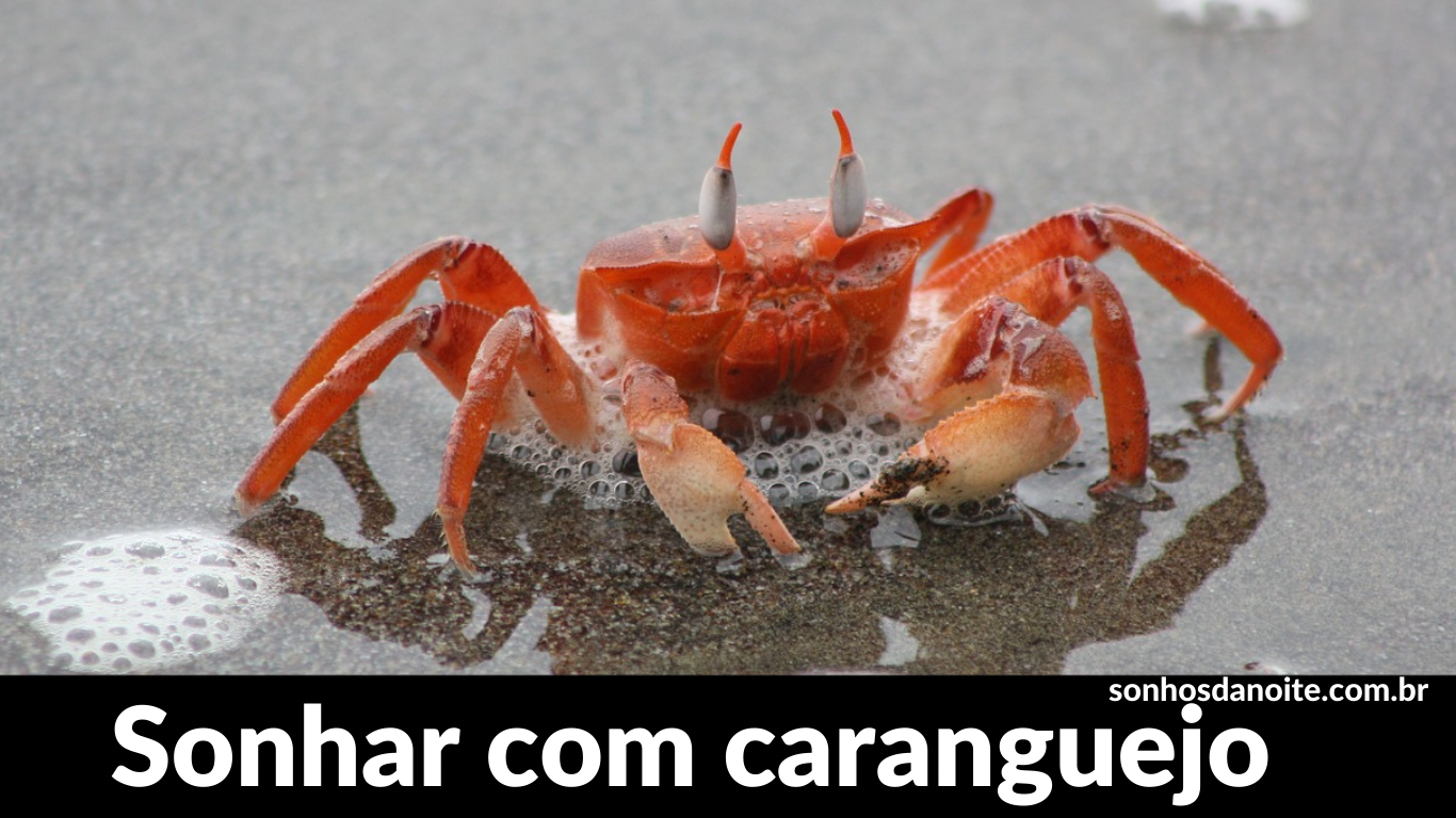 Sonhar com caranguejo