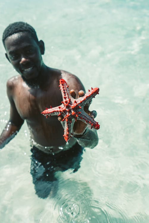 Sonhar com estrela do mar