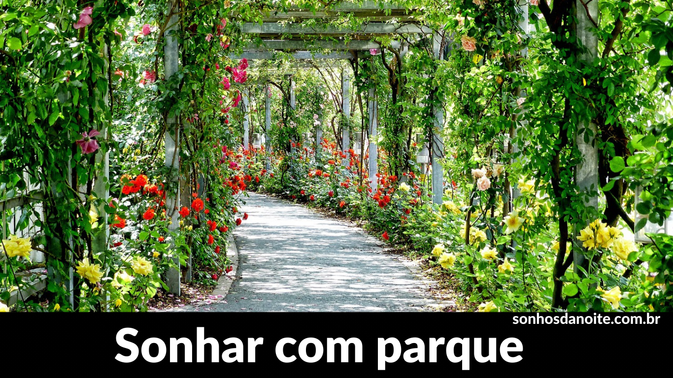 Sonhar com parque