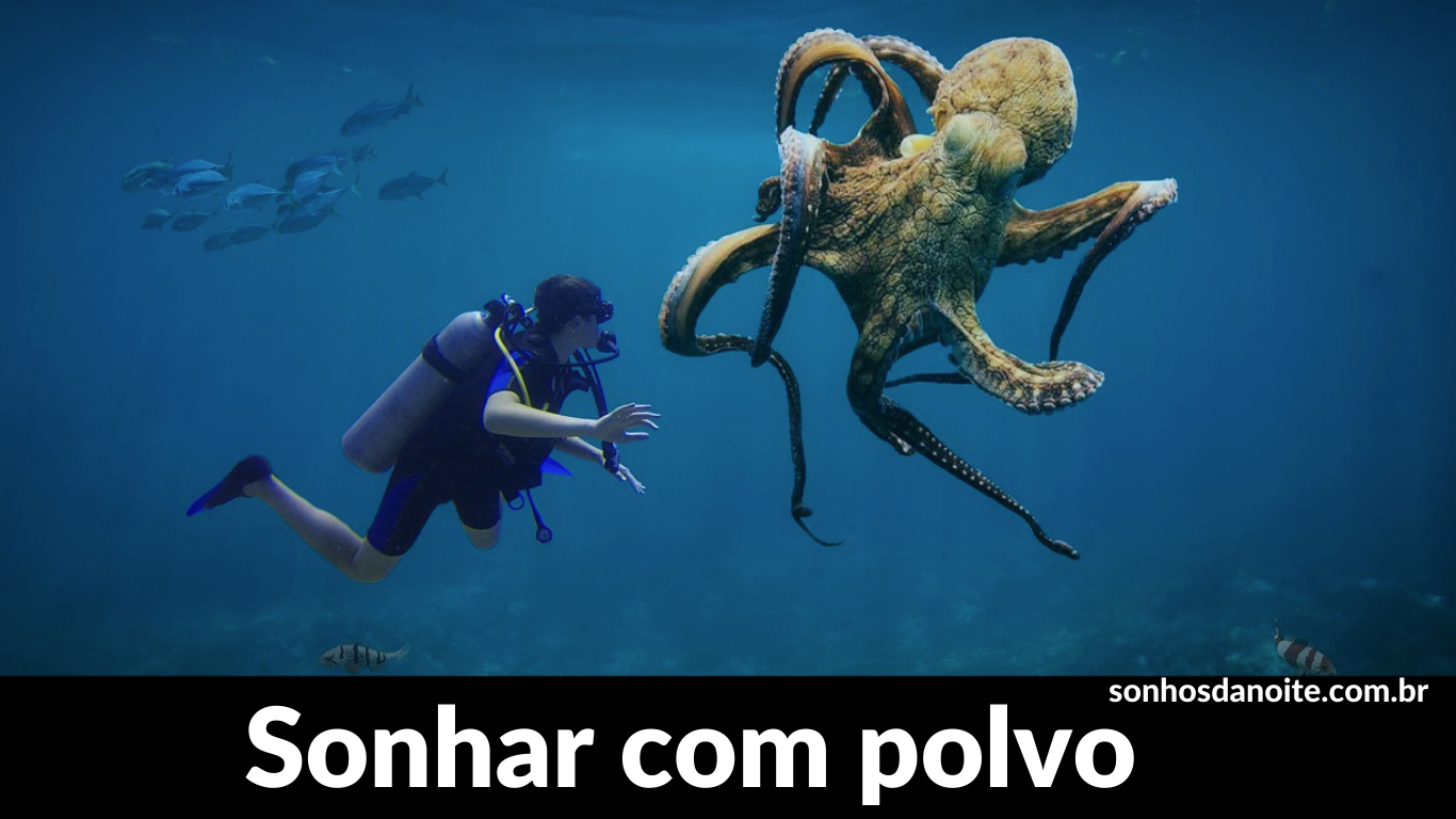 Sonhar com polvo